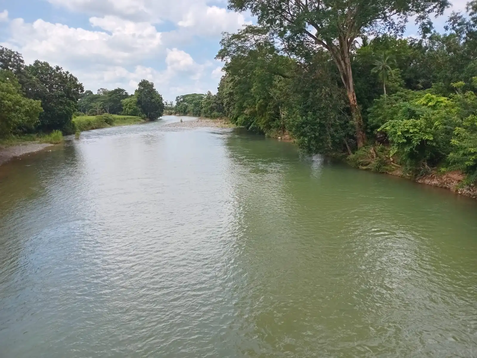 WhatsApp Image 2025 07 31 at 11.50.25_8a512071