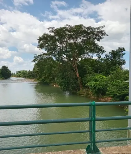 WhatsApp Image 2025 07 31 at 11.50.28_bf705762 1