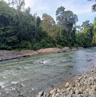 WhatsApp Image 2025 08 03 at 14.43.04_ce7ef510 1 1